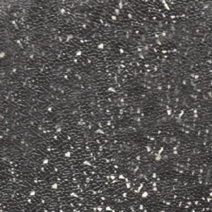 151 Night Sky