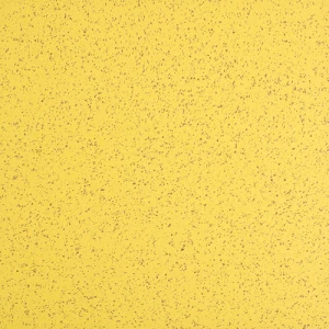 2504