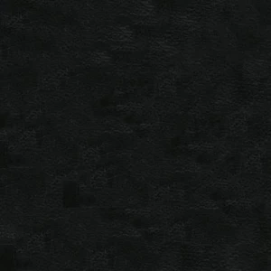Ebony